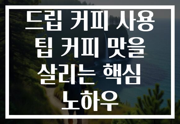 드립 커피 사용 팁 커피 맛을 살리는 핵심 노하우
