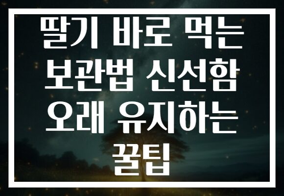 딸기 바로 먹는 보관법 신선함 오래 유지하는 꿀팁
