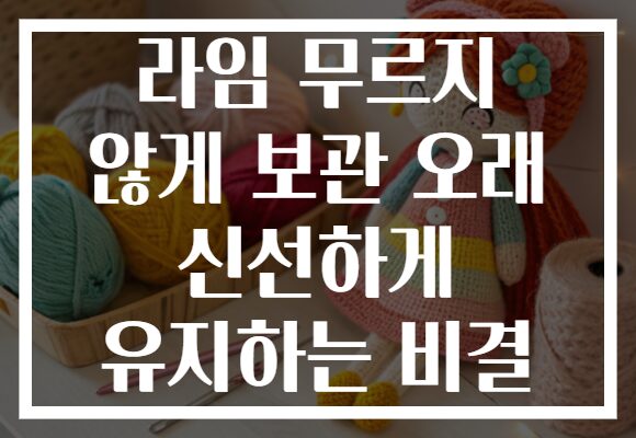 라임 무르지 않게 보관 오래 신선하게 유지하는 비결