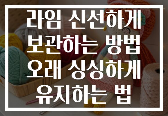 라임 신선하게 보관하는 방법 오래 싱싱하게 유지하는 법