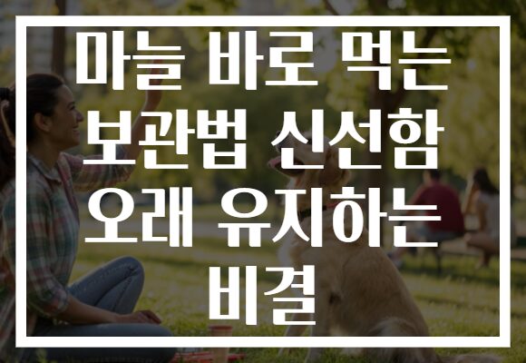 마늘 바로 먹는 보관법 신선함 오래 유지하는 비결
