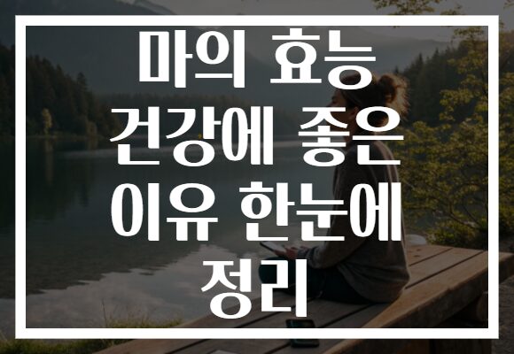 마의 효능 건강에 좋은 이유 한눈에 정리