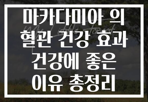 마카다미아 의 혈관 건강 효과 건강에 좋은 이유 총정리