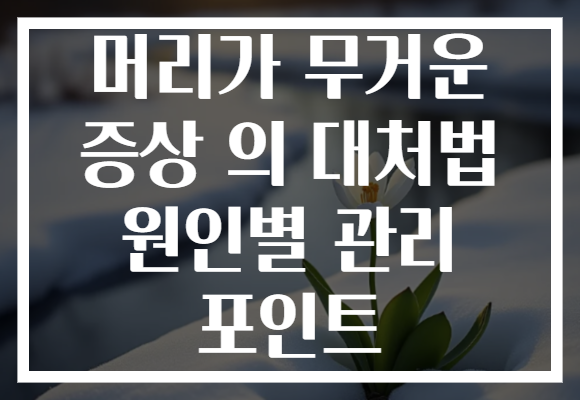 머리가 무거운 증상 의 대처법 원인별 관리 포인트