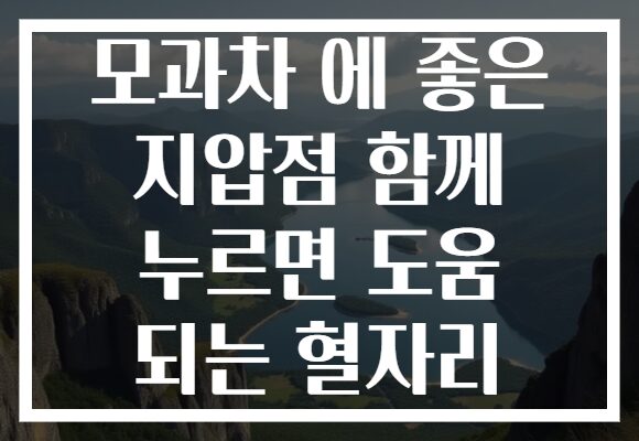 모과차 에 좋은 지압점 함께 누르면 도움 되는 혈자리