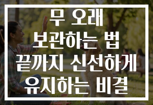 무 오래 보관하는 법 끝까지 신선하게 유지하는 비결