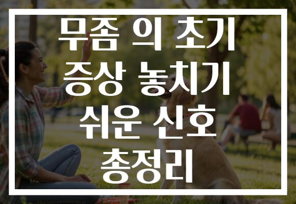 무좀 의 초기 증상 놓치기 쉬운 신호 총정리