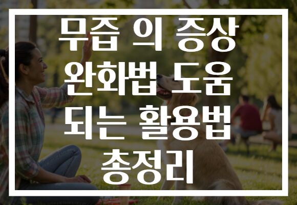 무즙 의 증상 완화법 도움 되는 활용법 총정리
