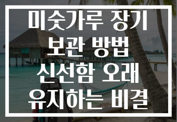 미숫가루 장기 보관 방법 신선함 오래 유지하는 비결
