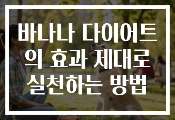 바나나 다이어트 의 효과 제대로 실천하는 방법