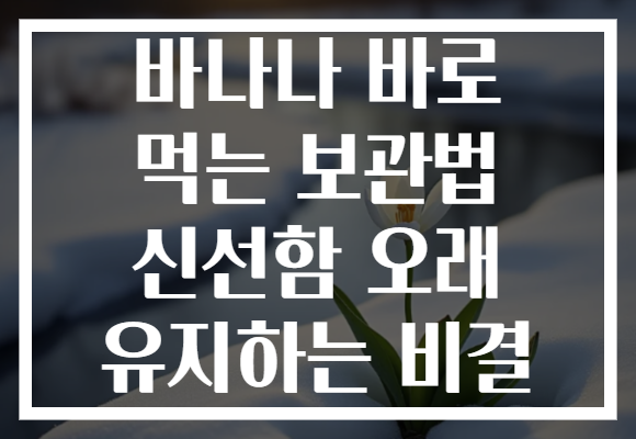 바나나 바로 먹는 보관법 신선함 오래 유지하는 비결