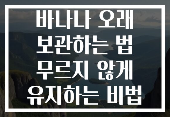 바나나 오래 보관하는 법 무르지 않게 유지하는 비법