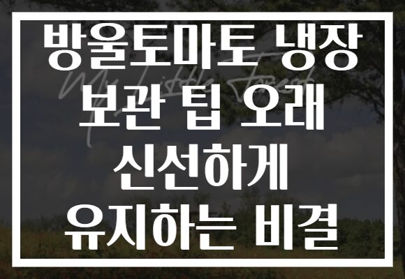 방울토마토 냉장 보관 팁 오래 신선하게 유지하는 비결