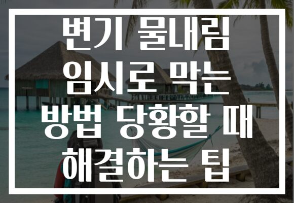 변기 물내림 임시로 막는 방법 당황할 때 해결하는 팁