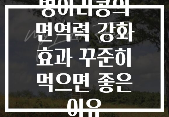 병아리콩의 면역력 강화 효과 꾸준히 먹으면 좋은 이유