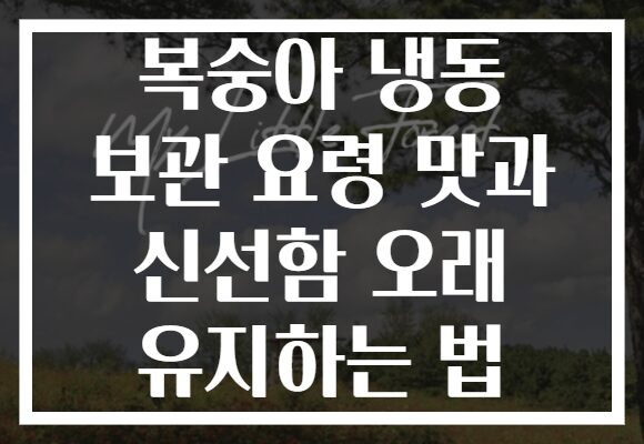 복숭아 냉동 보관 요령 맛과 신선함 오래 유지하는 법