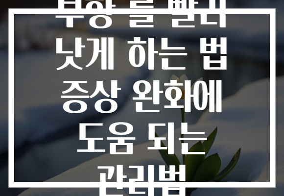 부항 를 빨리 낫게 하는 법 증상 완화에 도움 되는 관리법