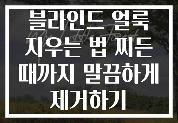 블라인드 얼룩 지우는 법 찌든 때까지 말끔하게 제거하기