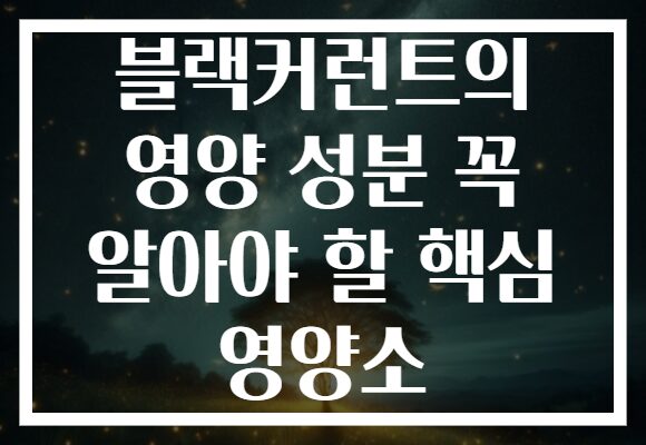 블랙커런트의 영양 성분 꼭 알아야 할 핵심 영양소
