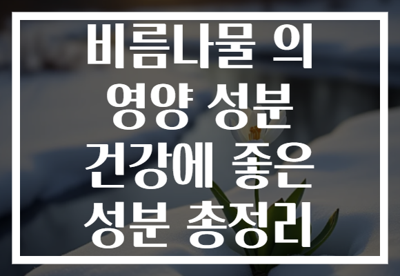 비름나물 의 영양 성분 건강에 좋은 성분 총정리