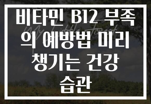 비타민 B12 부족 의 예방법 미리 챙기는 건강 습관