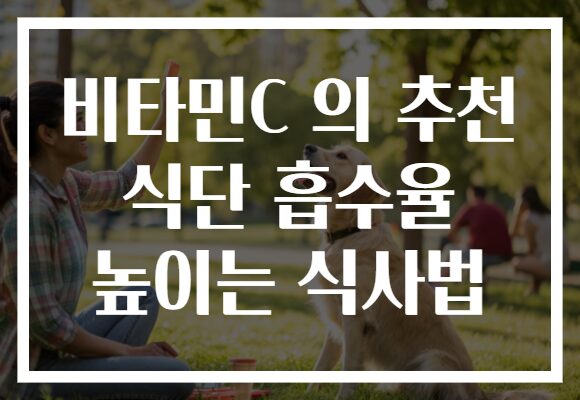 비타민C 의 추천 식단 흡수율 높이는 식사법