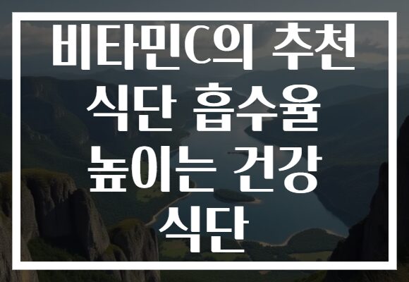 비타민C의 추천 식단 흡수율 높이는 건강 식단