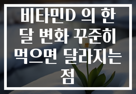 비타민D 의 한 달 변화 꾸준히 먹으면 달라지는 점