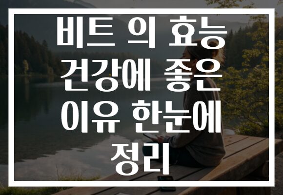 비트 의 효능 건강에 좋은 이유 한눈에 정리