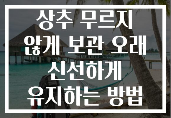 상추 무르지 않게 보관 오래 신선하게 유지하는 방법