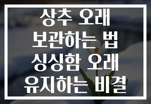 상추 오래 보관하는 법 싱싱함 오래 유지하는 비결