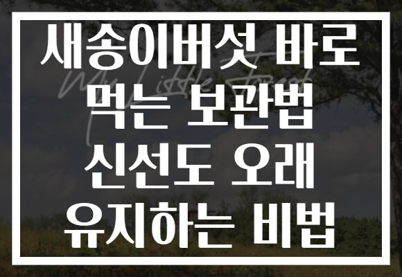 새송이버섯 바로 먹는 보관법 신선도 오래 유지하는 비법