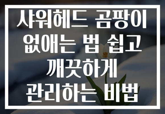 샤워헤드 곰팡이 없애는 법 쉽고 깨끗하게 관리하는 비법