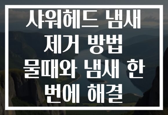 샤워헤드 냄새 제거 방법 물때와 냄새 한 번에 해결