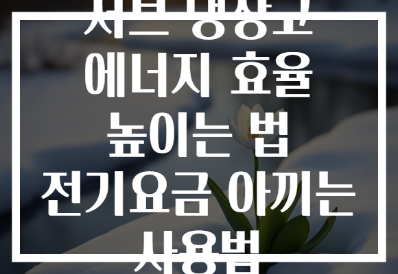 서브 냉장고 에너지 효율 높이는 법 전기요금 아끼는 사용법