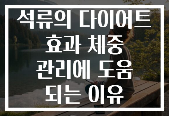 석류의 다이어트 효과 체중 관리에 도움 되는 이유