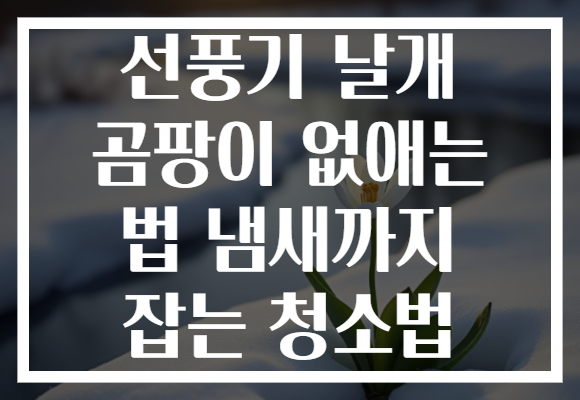 선풍기 날개 곰팡이 없애는 법 냄새까지 잡는 청소법