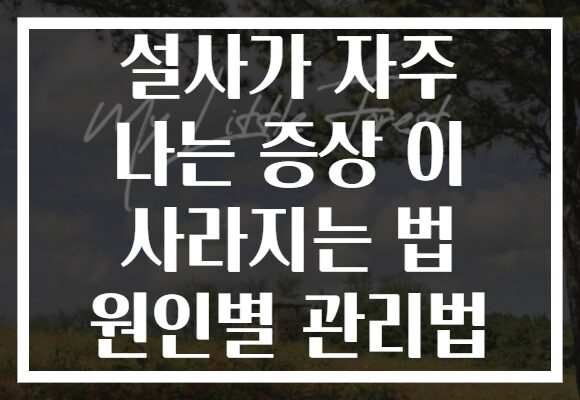 설사가 자주 나는 증상 이 사라지는 법 원인별 관리법