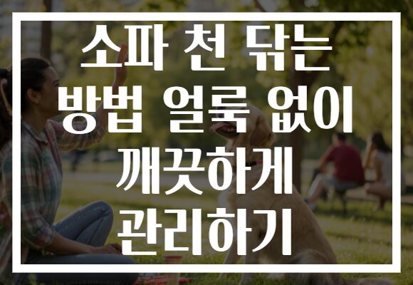 소파 천 닦는 방법 얼룩 없이 깨끗하게 관리하기