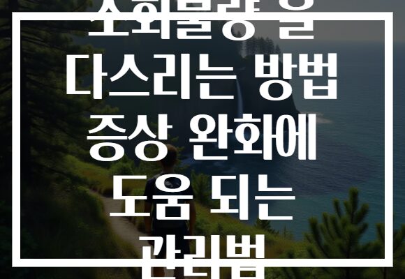 소화불량 을 다스리는 방법 증상 완화에 도움 되는 관리법