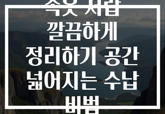 속옷 서랍 깔끔하게 정리하기 공간 넓어지는 수납 비법