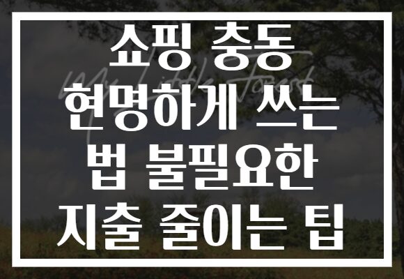 쇼핑 충동 현명하게 쓰는 법 불필요한 지출 줄이는 팁