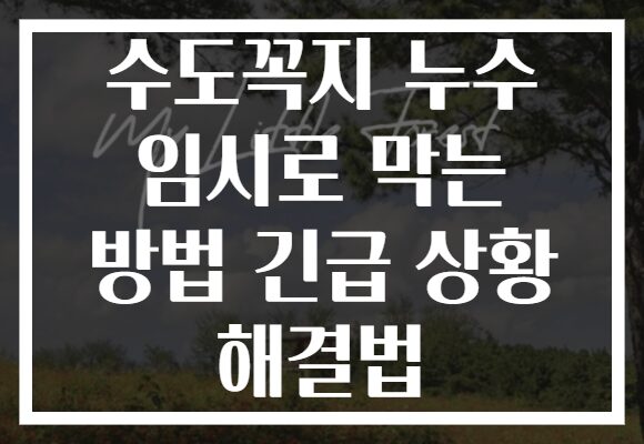 수도꼭지 누수 임시로 막는 방법 긴급 상황 해결법