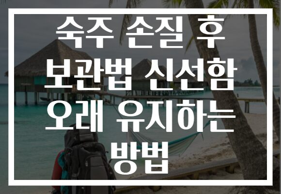 숙주 손질 후 보관법 신선함 오래 유지하는 방법