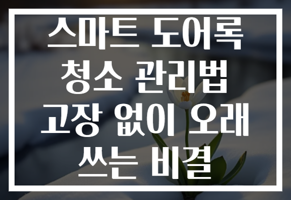 스마트 도어록 청소 관리법 고장 없이 오래 쓰는 비결