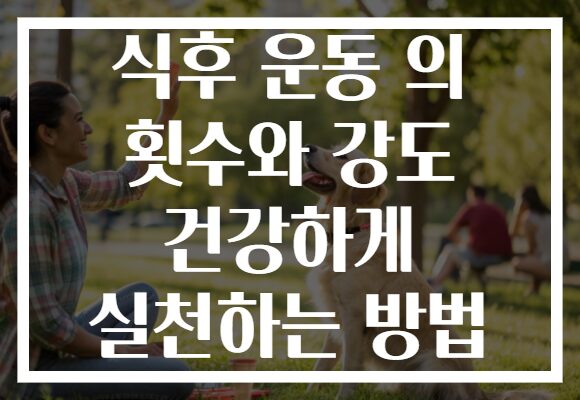 식후 운동 의 횟수와 강도 건강하게 실천하는 방법