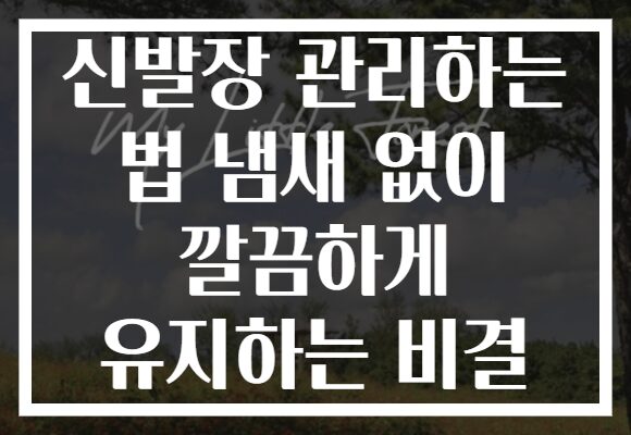 신발장 관리하는 법 냄새 없이 깔끔하게 유지하는 비결
