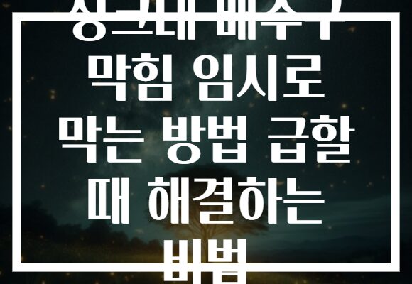 싱크대 배수구 막힘 임시로 막는 방법 급할 때 해결하는 비법