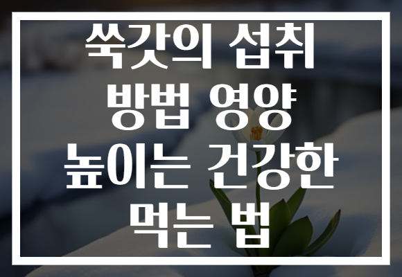 쑥갓의 섭취 방법 영양 높이는 건강한 먹는 법