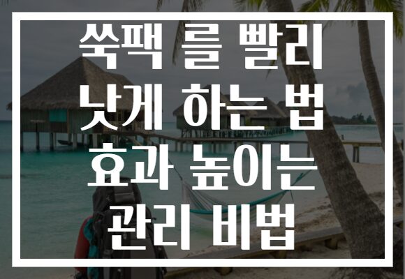 쑥팩 를 빨리 낫게 하는 법 효과 높이는 관리 비법
